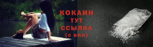 меф Пересвет