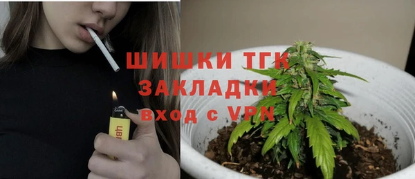 меф Пересвет