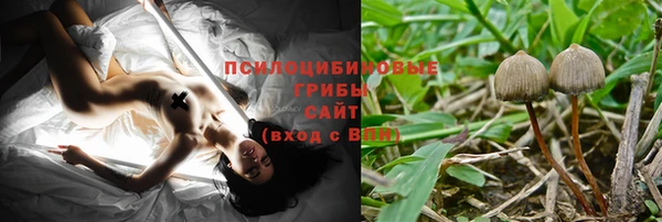 a pvp Калининец