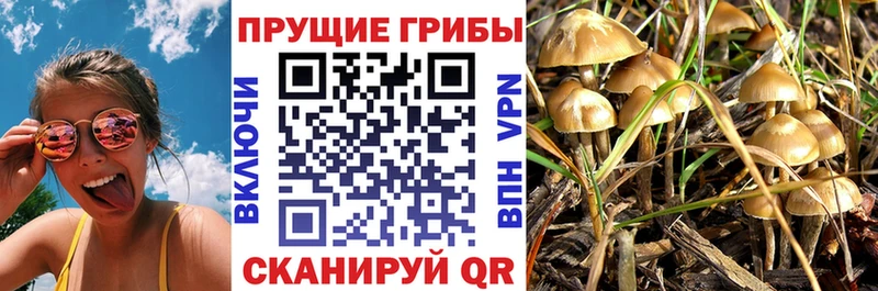 Галлюциногенные грибы прущие грибы Хилок