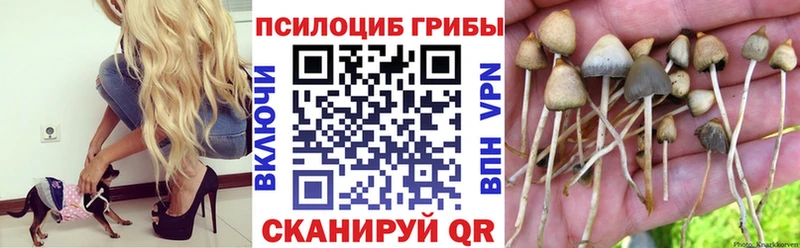 Галлюциногенные грибы Cubensis  hydra tor  Хилок 